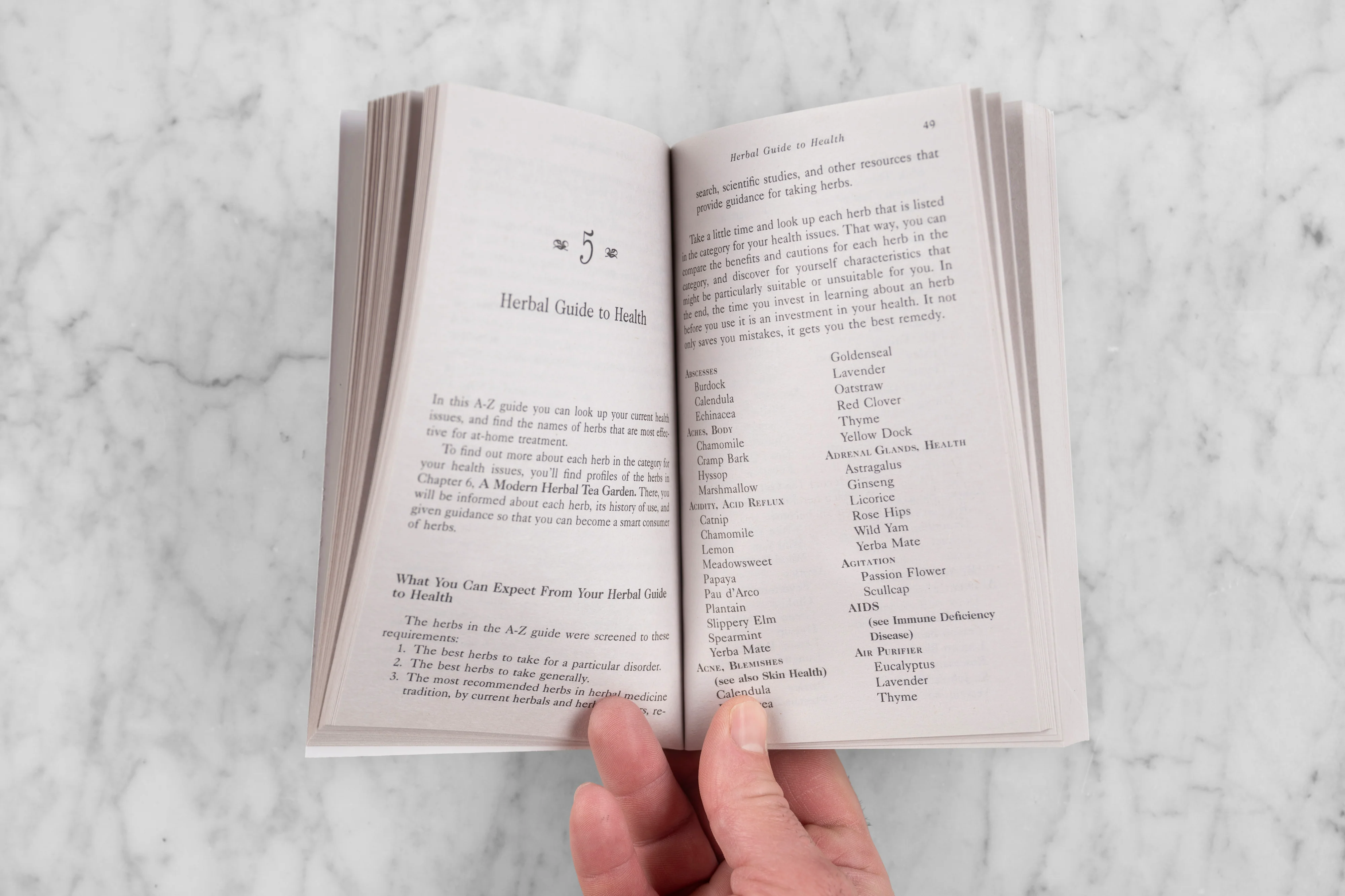 20,000 Secrets of TEA - Image 2